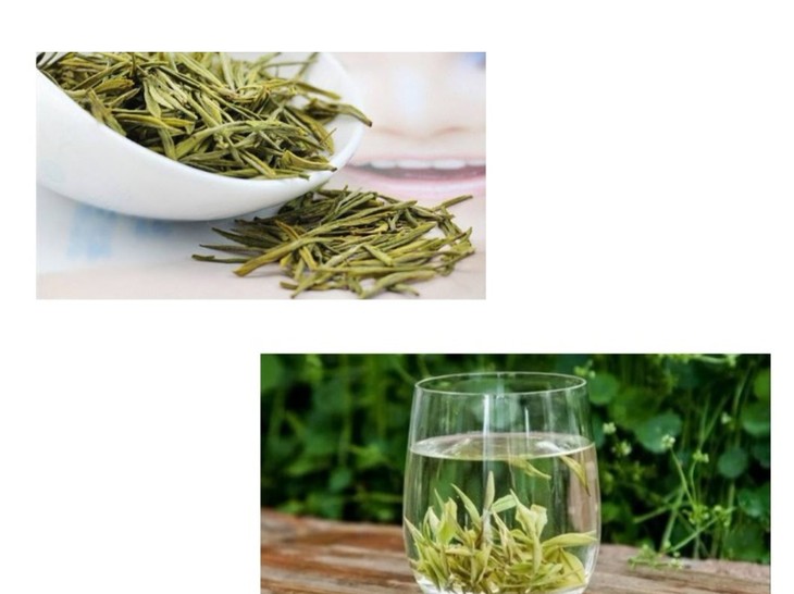 2020茗鼎开园白茶 印象15g*6茶器 精品 花香四溢 小罐茶