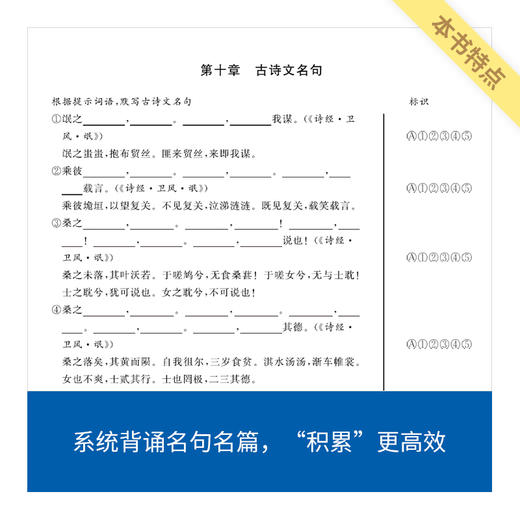 来川高中语文字词框架蓝宝书/语文快速提分/颠覆传统教学 商品图4