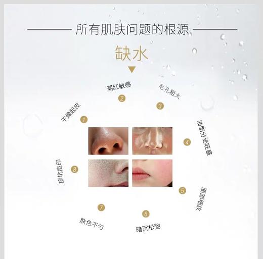 绽媄娅金色水 商品图7
