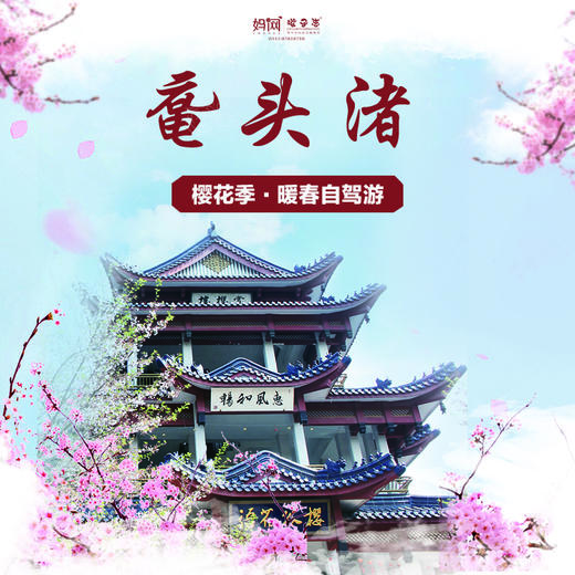 自驾游 | 3/28 3/29 无锡鼋头渚的早樱已经美成这样啦！樱花正当时，开启尘封已久的脚步，跟随我们一起出发吧！ 商品图0