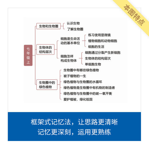 来川初中数理化生知识框图1张/不含书 商品图2