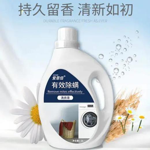 【买一送一 跟螨虫说再见】植物护理洗衣液2kg 蕴含小麦蛋白精华，快速渗透纤维，深层植物双倍去除顽固污渍，持久留香护色，温和洁净不伤手 孕妇婴儿衣服更安心 商品图1
