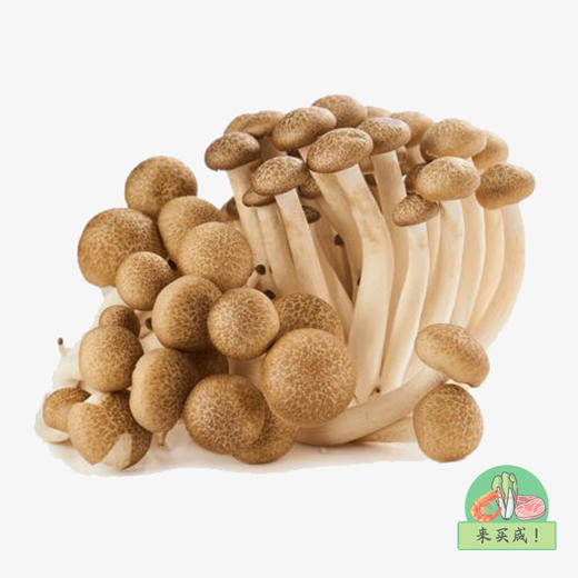 蟹味菇 商品图0