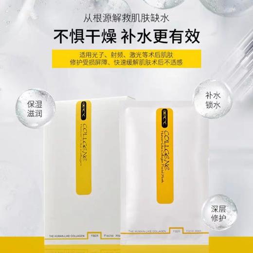 可丽金果纤5片 商品图0