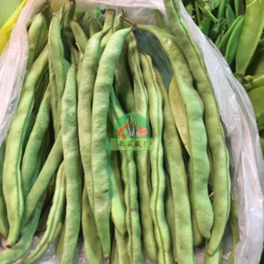 四季豆 商品图0