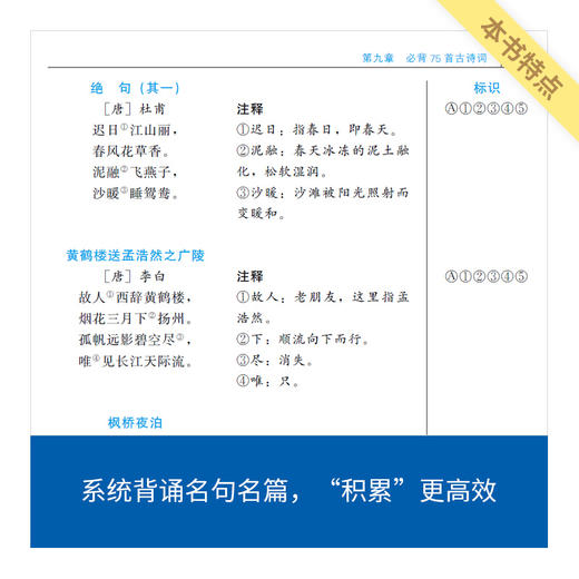 来川小学语文字词框架蓝宝书 /语文词频学习法 提高学习效率 商品图3