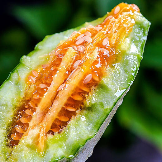 【羊角蜜甜瓜 】 甜瓜  2026年春季头茬 现摘现发 甜蜜多汁 个大饱满 商品图8