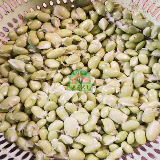 鲜黄豆 商品图0