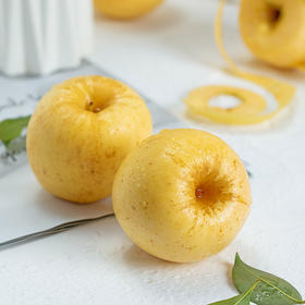 慕雪维纳斯® 黄金苹果 香味独特 纯甜脆口 生态种植 自然熟不打蜡 科学疏枝 套袋防护（山东威海烟台，顺丰/京东）