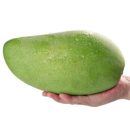 【宋大叔推荐】云南大青芒 青芒果 单果400克起 新鲜水果  包邮 商品图5