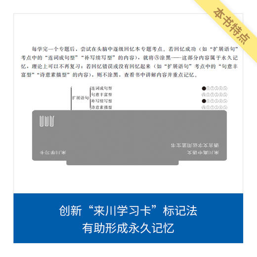 高中语文语言文字运用蓝宝书/高考备考/冲击高分秘诀/语文解题能力 商品图4