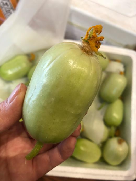 玉女小黄瓜(一斤装)