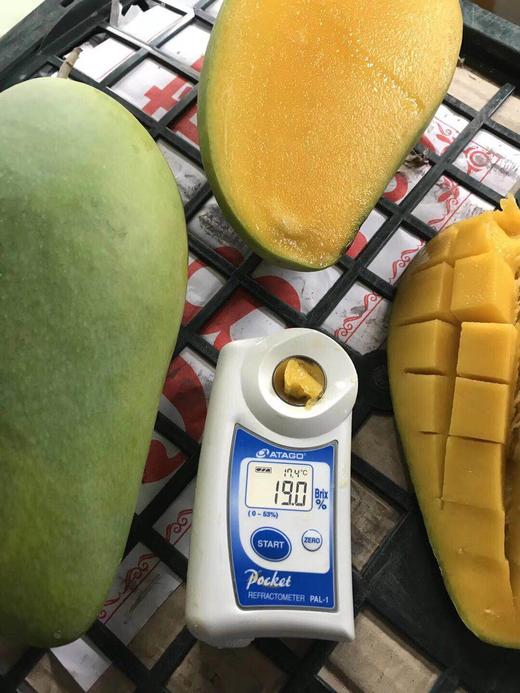 【宋大叔推荐】云南大青芒 青芒果 单果400克起 新鲜水果  包邮 商品图3