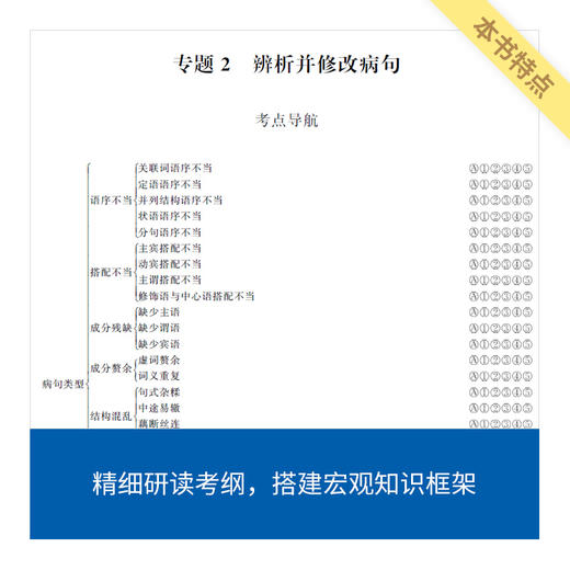 高中语文语言文字运用蓝宝书/高考备考/冲击高分秘诀/语文解题能力 商品图2