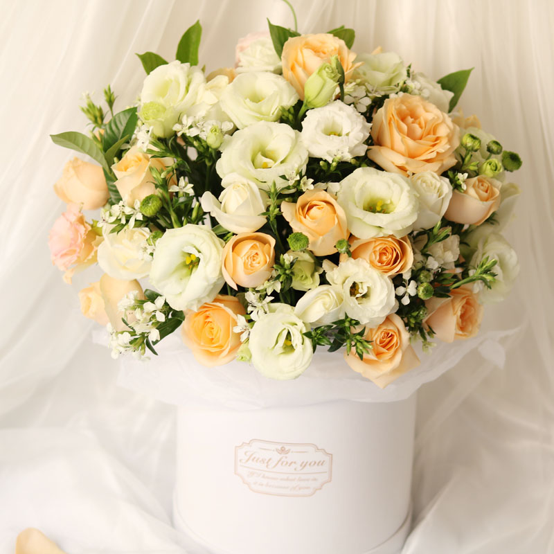 香槟绿桔梗款-抱抱筒