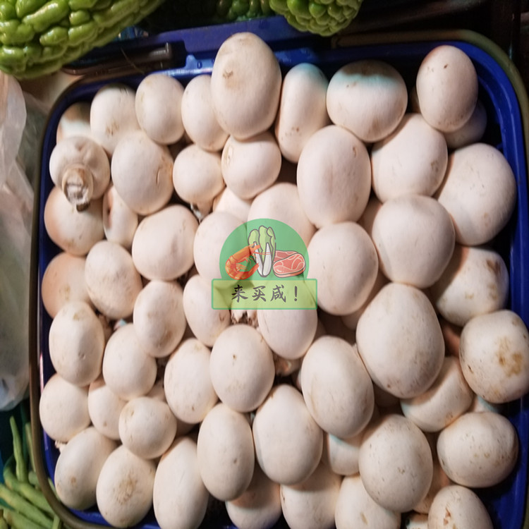 本地白菇/口蘑