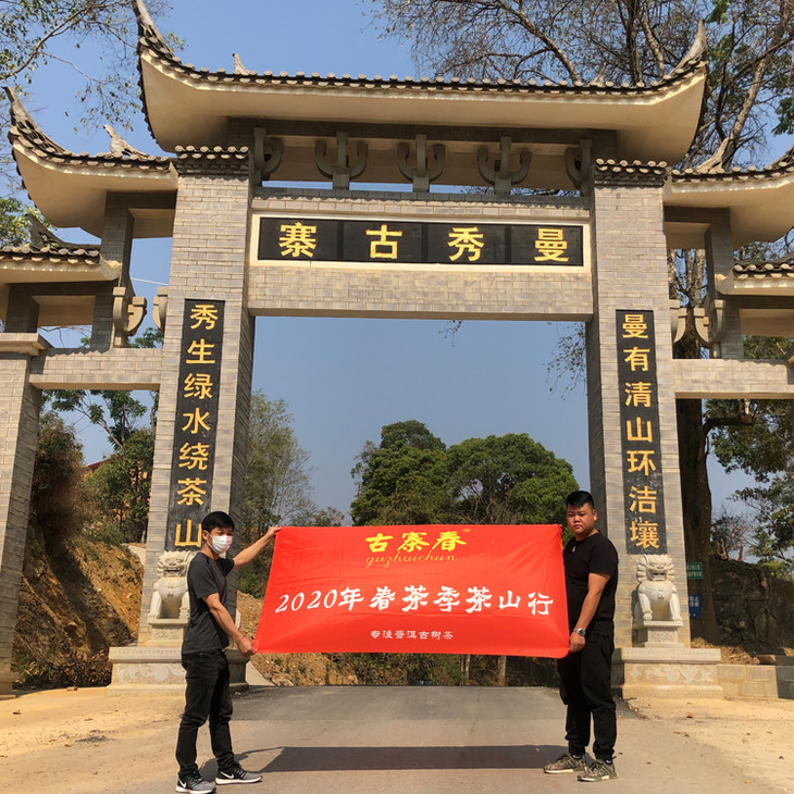 古寨春【曼秀】300年古树纯料易武普洱茶生茶2019年头春饼茶 357g