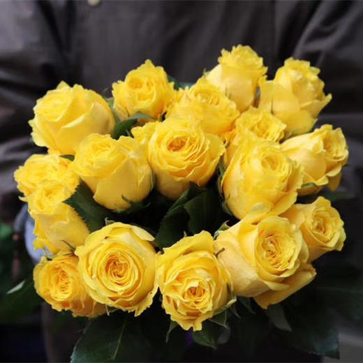 【昆明玫瑰】金枝玉叶，20支/扎  A级 商品图2