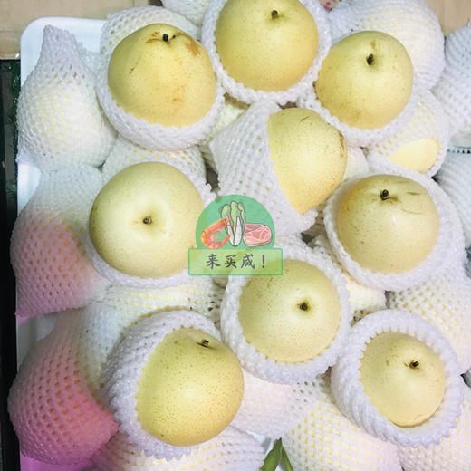 水晶梨 商品图0