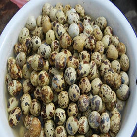 鹌鹑蛋