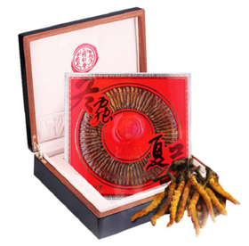 同仁堂 总统牌冬虫夏草-35/25克