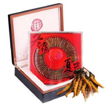 同仁堂 总统牌冬虫夏草-35/25克 商品图0