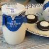 新疆马三三零添加剂酸奶 180g*12瓶 商品缩略图4