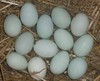 鸭蛋 商品缩略图0