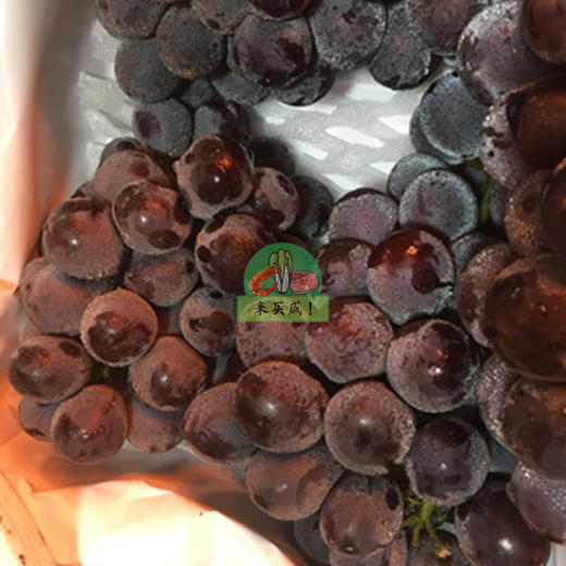 巨峰葡萄 商品图0
