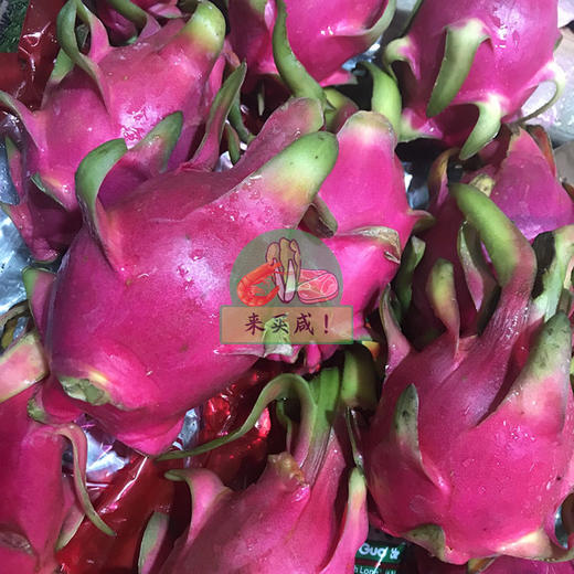 火龙果 商品图0