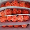 【拍市玫瑰】戴安娜  10支/扎 商品缩略图3