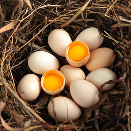 草鸡蛋 商品图0