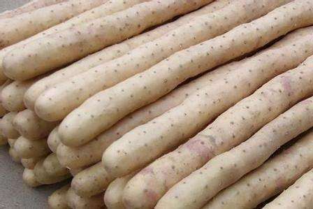 袋装山药(6.99元/袋2斤左右) 商品图0