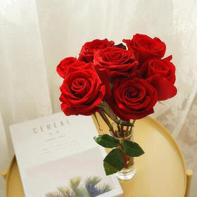 【昆明玫瑰】卡罗拉（红玫） 20支/扎 多规格可选
