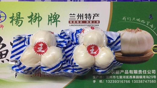 兰州百合 来自兰州的“蔬菜人参” （全国包邮） 商品图0