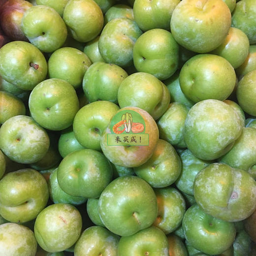 本地李子 商品图0