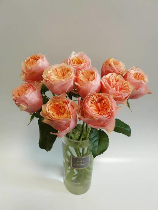 昆明玫瑰单头粉色蝴蝶20支扎cd级