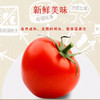 酒泉金塔特产 优质番茄酱 阳光番茄为原料 炒菜蘸薯条  不添加防腐剂增稠剂 人造香精色素  260ML*3袋包邮 商品缩略图2