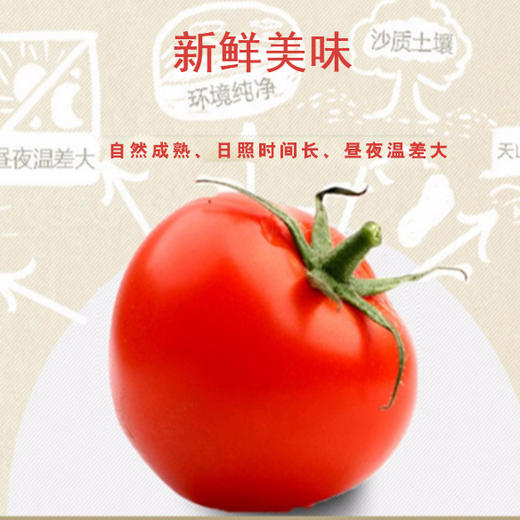 酒泉金塔特产 优质番茄酱 阳光番茄为原料 炒菜蘸薯条  不添加防腐剂增稠剂 人造香精色素  260ML*3袋包邮 商品图2