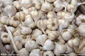 大蒜头1斤