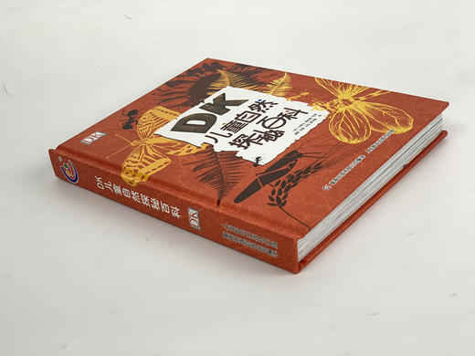 《DK儿童自然探索/探秘百科》（共2册）6-12岁儿童科普博物 商品图4