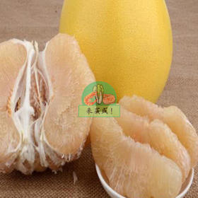 鲜甜柚子（白肉）