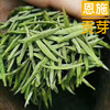 湖北恩施 恩施玉露/贡芽富硒茶500克包邮 商品缩略图0
