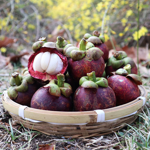 泰国山竹3斤 包邮 商品图2