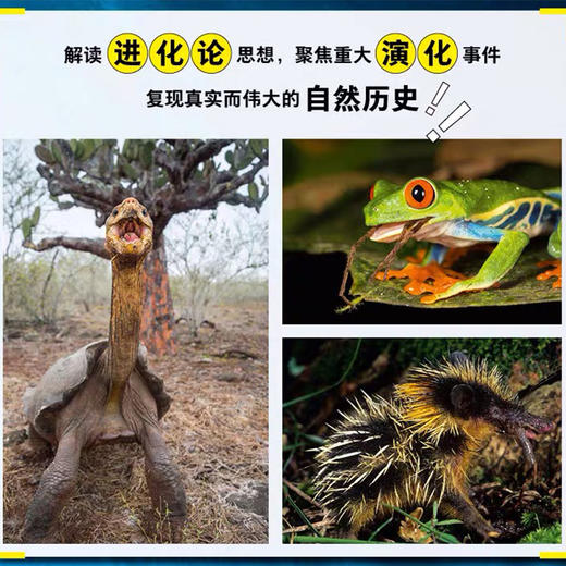【生物多样性与人类】生命的进化 大卫爱登堡 著 博物君张辰亮推荐进化论 演化 自然历史  BBC纪录片  自然科普  中信出版社图书 商品图3