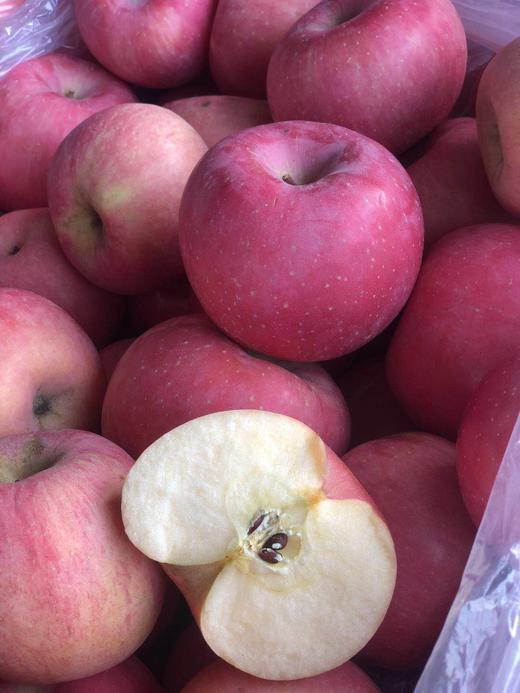 周日取货：【山东红富士】袋装苹果，一袋7.5斤左右，酸甜适口！ 商品图9