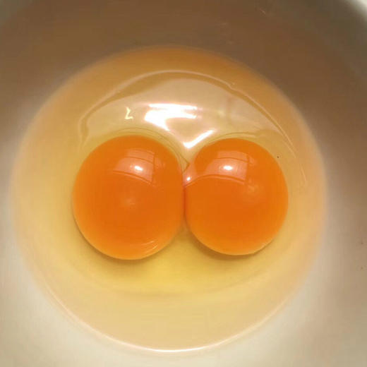 大别山初生蛋俗称开窝蛋个头较小营养较高有聪明蛋的美称