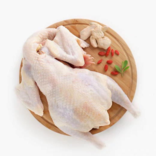 新鲜走地嫩鸡 商品图0