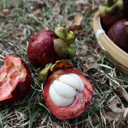 泰国山竹3斤 包邮 商品图4