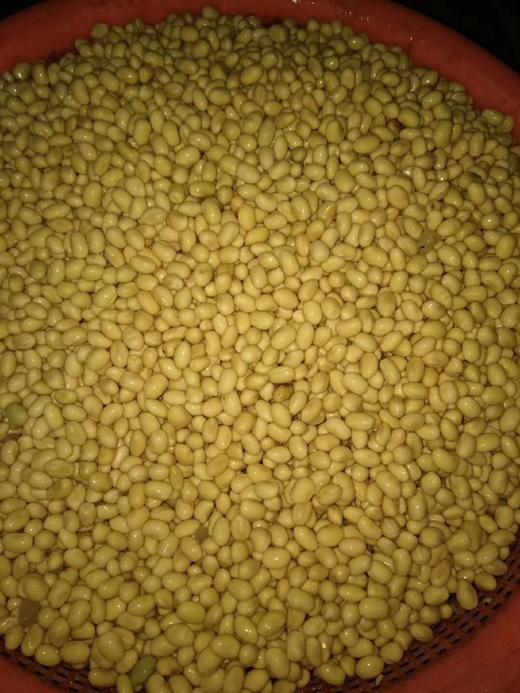 满满豆香  厚实有嚼劲  农家豆皮 商品图3